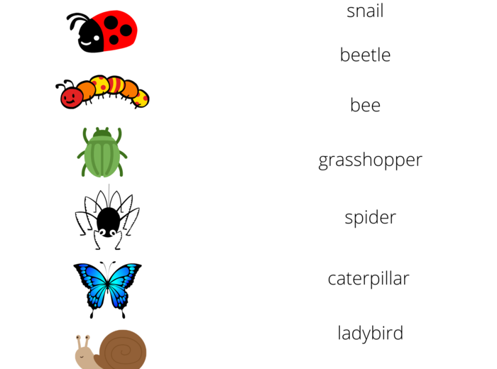 Bugs - nazwy owadów.