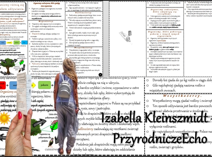 Książeczka/sketchnotka/notatka/wklejka/streszczenie dla ucznia i przypomnienie dla nauczyciela/edukacja domowa/materiał w pigułce. Temat „Organizmy różnią się sposobem odżywiania.” w pdf. Przyroda 4, dział „Poznajemy świat organizmów”. Nowość 2024/2025.