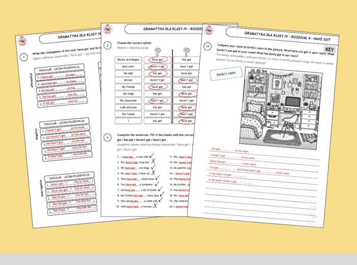 Have got - ćwiczenia gramatyczne (Gramatyka dla klasy IV - rozdział 4)