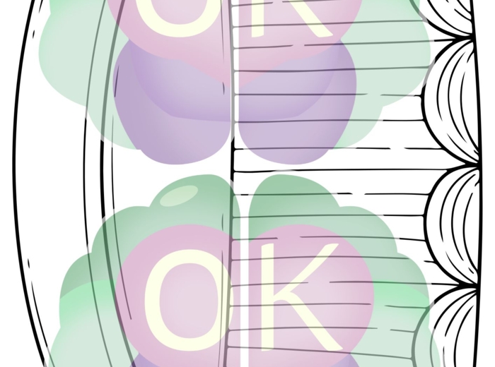 🎨 Kreatywne Prace Plastyczne – Uzupełnij i Stwórz po Swojemu!