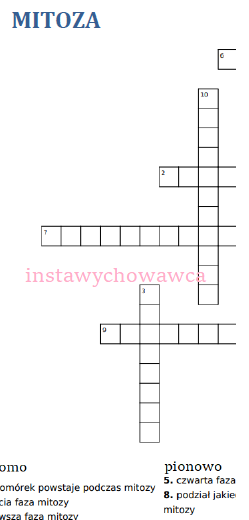 Mitoza