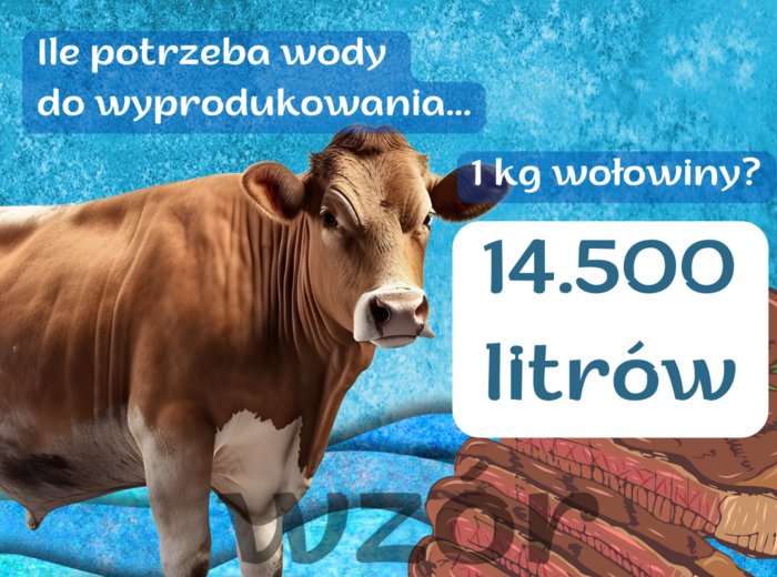 Szkolna gazetka na Dzień Ziemi - Czy wiesz, ile wody potrzeba do wyprodukowania 1 jajka?