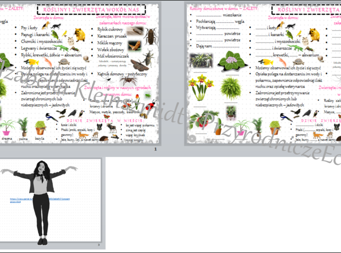 Mini zestaw do tematu „Rośliny i zwierzęta wokół nas” - sketchnotka + karta pracy w pdf oraz link do prezentacji multimedialnej niekomercyjnej wykonanej w genial.ly do indywidualnego pobrania i użycia do celów niekomercyjnych. Przyroda klasa 4, dział III