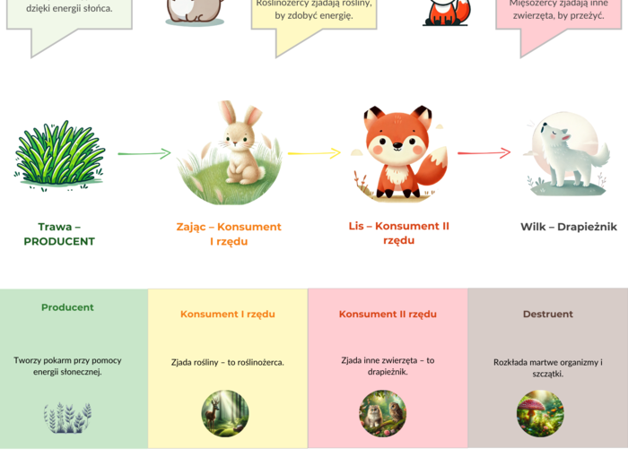Plakaty edukacyjne. Gatunki roślin i zwierząt. Łańcuchy pokarmowe. Ekologia.