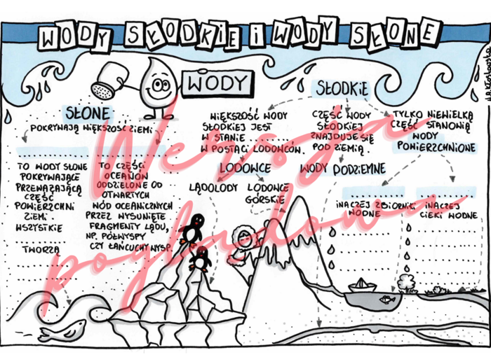 Wody słodkie i wody słone - przyroda kl. 4