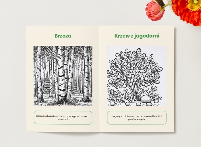 Kolorowanki. Zwierzęta. Rośliny. Grzyby. Ekosystemy