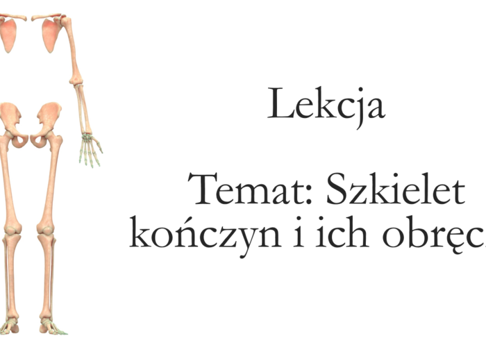 Klasa 7 - Szkielet kończyn i ich obręczy - prerzentacja
