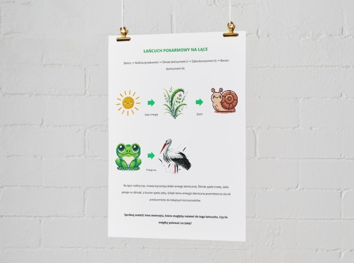 Plakat przedstawiający łańcuchy pokarmowe