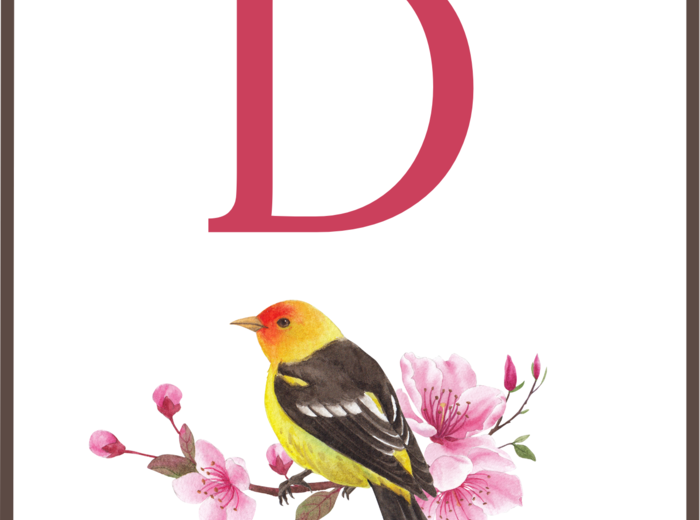 DZIEŃ PTAKÓW – wiosna - girlanda – napis – gazetka – wersja 2