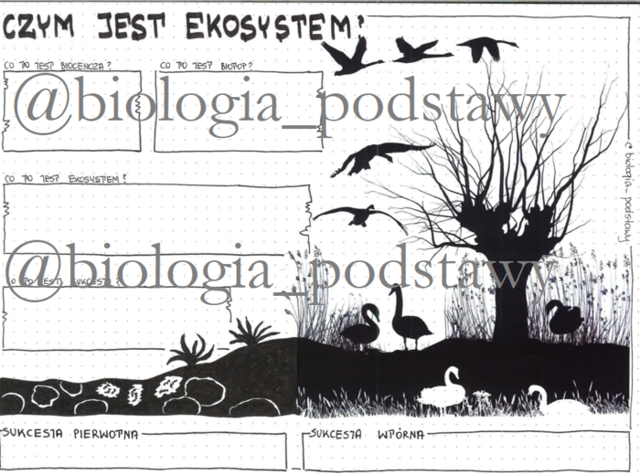 Klasa 8 - czym jest ekosystem? - KP