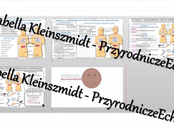 Minizestaw na temat „Budowa i funkcjonowanie układu hormonalnego” – sketchnotka + karta pracy w power point + gratisowy link do prezentacji multimedialnej niekomercyjnej wykonanej w genial.ly do indywidualnego pobrania i użycia do celów niekomercyjnych. 