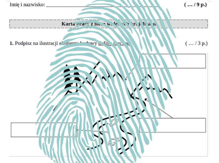 Formy wypukłe i wklęsłe krajobrazu – karty pracy / PRZYRODA klasa 4