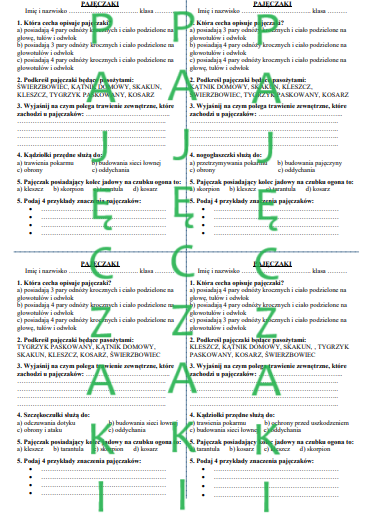 PAJĘCZAKI - KARTKÓWKA
