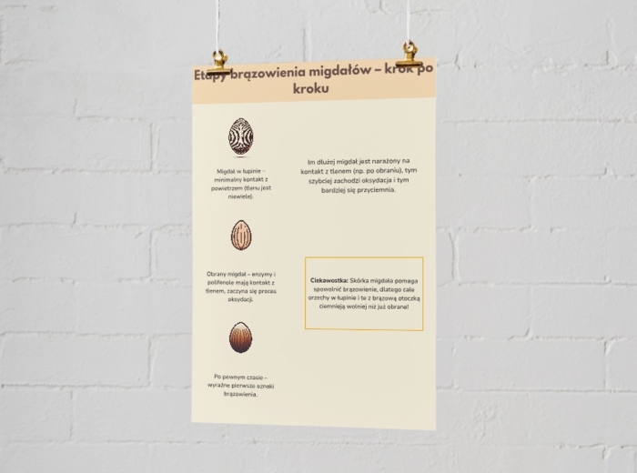 Dlaczego migdały ciemnieją? Infografika. Proces oksydacji. Chemiczny proces brązowienia. Jak temu zapobiegać?