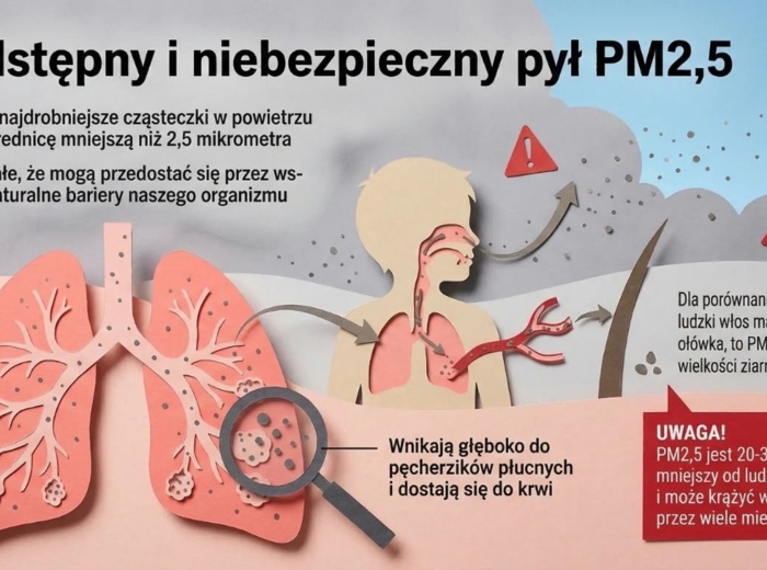 Edukacyjna Sieć Antysmogowa (ESA) – NASK, Czyste powietrze (gazetka szkolna / prezentacja)