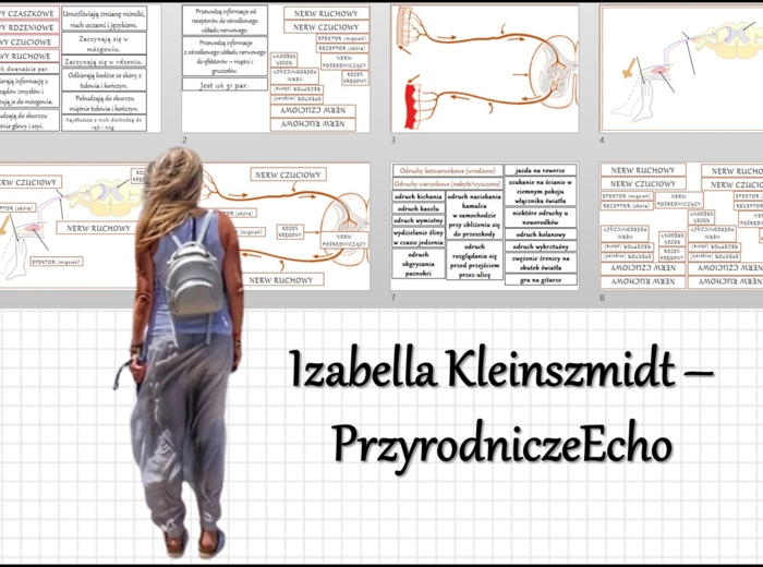Materiał do zalaminowania/praca w grupach/stacje zadaniowe/układanka/puzzle okienkowa „Obwodowy układ nerwowy „Łuk odruchowy”, „Droga impulsu nerwowego” w pdf. Biologia 7 dział „Regulacja nerwowo - hormonalna”.