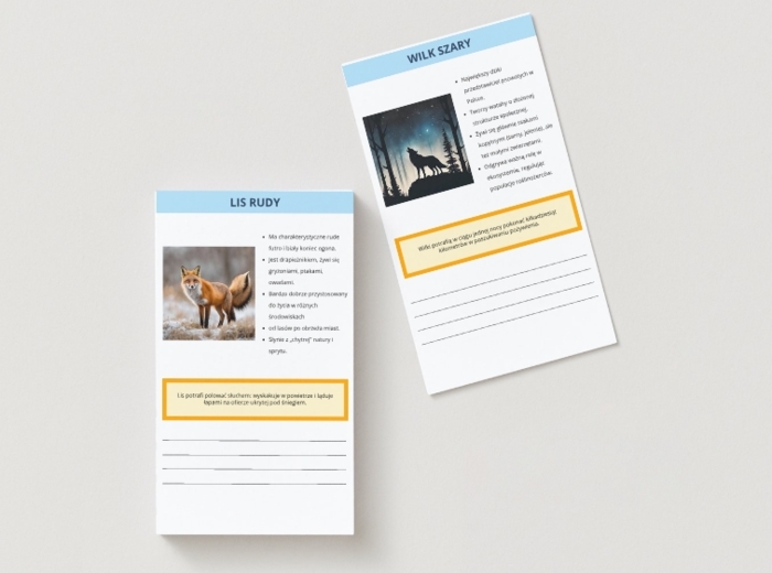 Karty z infografiką lokalnej fauny i flory. Gatunki roślin i zwierząt