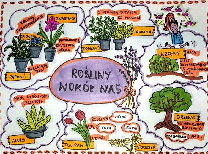 Klasa 4. Przyroda. Karta pracy. Rośliny wokół nas