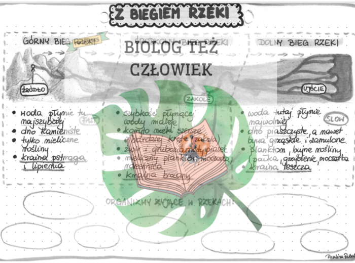 Z biegiem rzeki - szarość