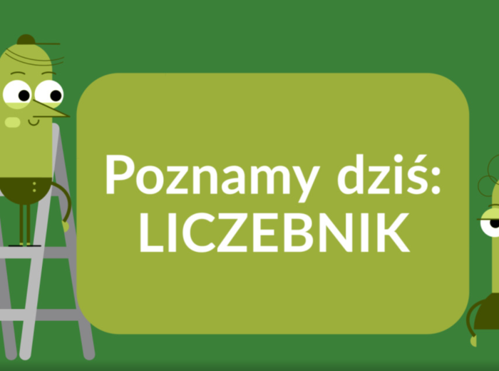 Liczebnik