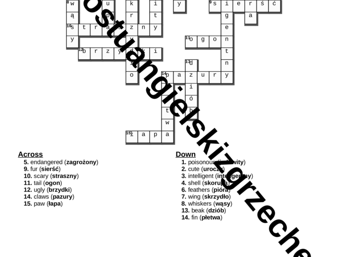 Brainy 6 – Unit 4 – krzyżówki