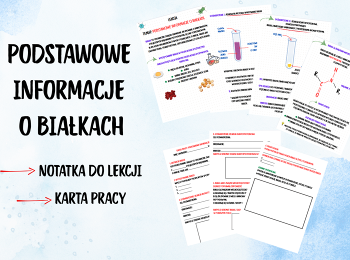 Podstawowe informacje o białkach/białka/ NOTATKA DO LEKCJI + KARTA PRACY