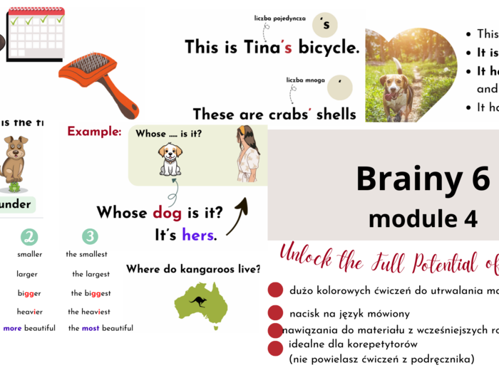 Brainy 6, unit 4, materiały dodatkowe uzupełniające podręcznik
