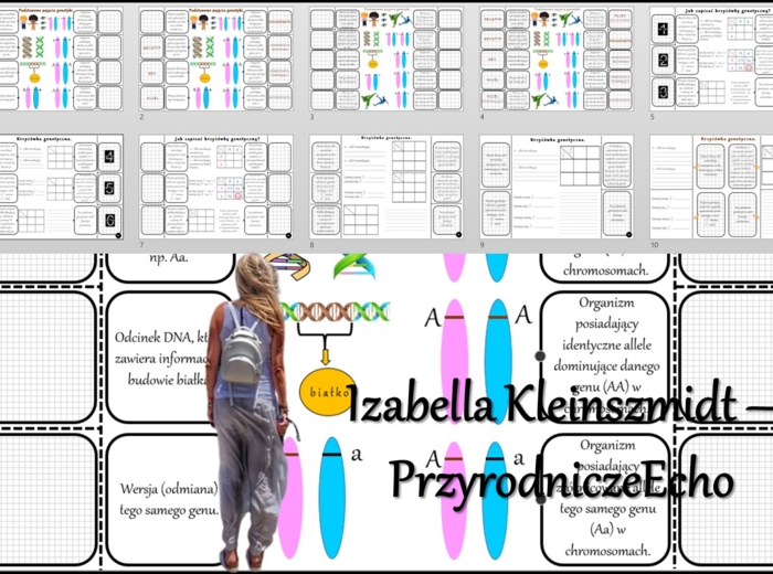 Notatka okienkowa/stacja zadaniowe/notatka/notatka graficzna/karta pracy/sketchnotka „Podstawowe prawa dziedziczenia”, „Krzyżówki genetyczne”, „Podstawowe pojęcia genetyki” w pdf. Biologia 8 dział „Genetyka”. Materiał wykonany na podstawie podręcznika z 