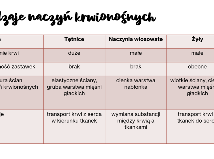 Układ krwionośny i limfatyczny KLASA 2 PODSTAWA BIOLOGIA