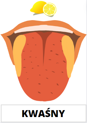 Zmysł smaku, karty Montessori, dopasowanie produktu do smaku