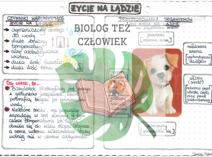 Życie na lądzie - kolor