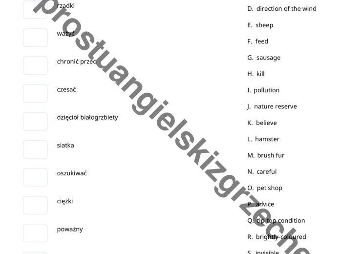 Brainy 6 – Unit 4 – testy