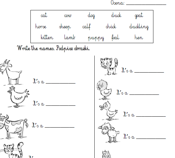 Kartkówki do Bugs Team 2