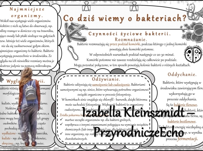 Zestaw sketchnotek/notatek/streszczeń/wklejek/ściąg dla ucznia i nauczyciela w pdf. Biologia 5 dział „Klasyfikacja i systematyka. Wirusy. Bakterie. Prostisty. Grzyby.”. Notatki zostały wykonane na podstawie podręcznika z wydawnictwa WSiP.