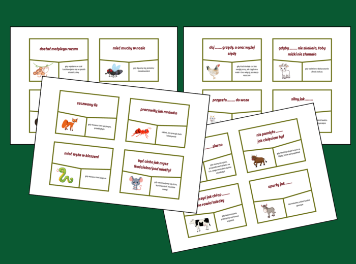 FRAZEOLOGIZMY - zwierzęta - ptaki - fiszki – 48 szt. x 2 - kl. 4-8 – egzamin – powtórzenie- ćwiczenia – związki frazeologiczne