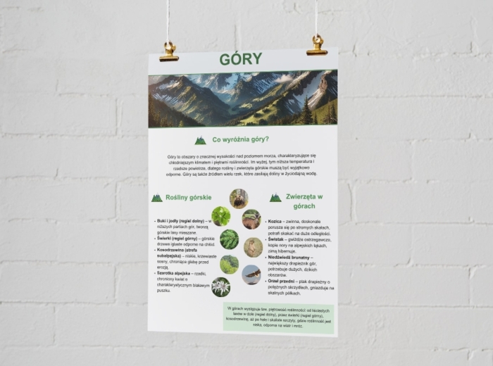 Plakaty o ekosystemach. Las, łąka, jezioro, morze, góry.