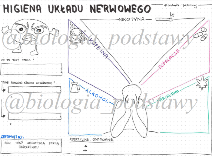 Klasa 7 - Higiena układu nerwowego - KP