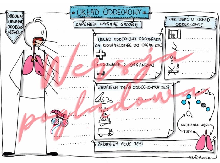Układ oddechowy zapewnia wymianę gazową kl. 4