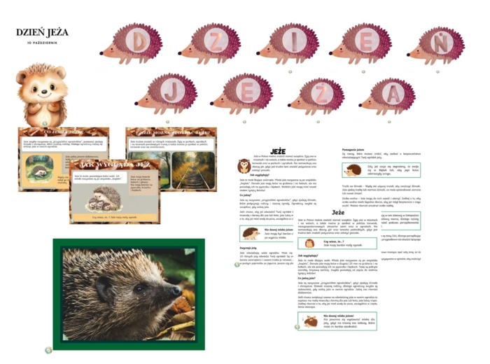 DZIEŃ JEŻA