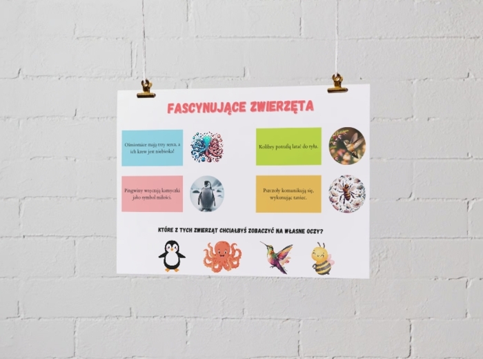 Plakaty z ciekawostkami. Zwierzęta. Rośliny. Ekosystemy. Jak dbać o ziemię?