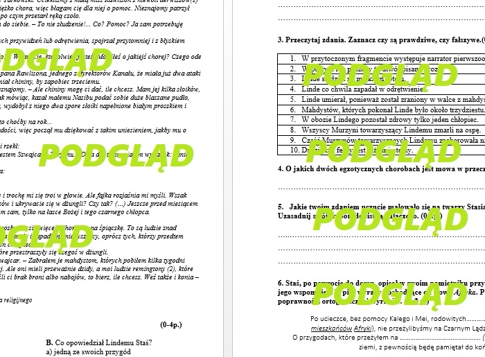 W pustyni i w puszczy - sprawdzian, praca klasowa