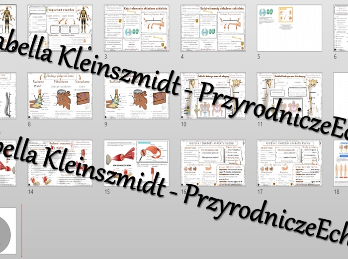 Zestaw sketchnotek i kart pracy + gratisowe linki do prezentacji multimedialnych niekomercyjnych wykonanych w genial.ly do indywidualnego pobrania i użycia do celów niekomercyjnych. Biologia 7, „Aparat ruchu”