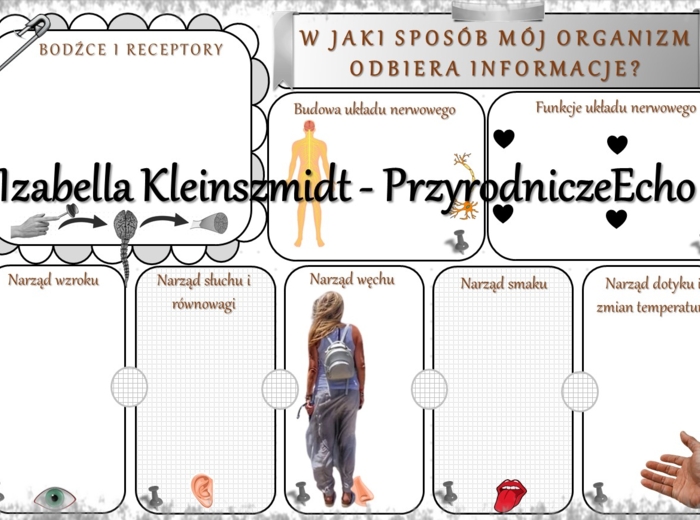 Karta pracy „W jaki sposób mój organizm odbiera informacje?” wykonana w power point do edycji. Przyroda 4, „Ja i moje ciało” na podstawie wydawnictwa WSiP