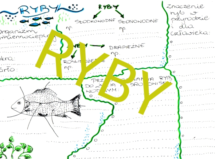 Ryby - sketchnotka