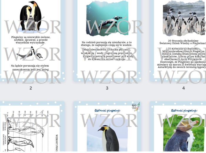 Dzień Pingwina