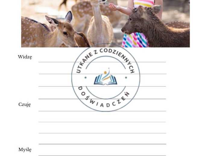 Jak rozpisać uczniów? Karty na lekcję języka polskiego, zajęcia dydaktyczno-wyrównawcze, nieplanowane zastępstwo