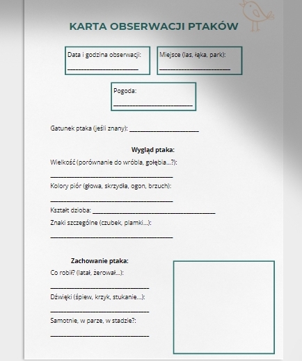 Karty obserwacji w terenie. Obserwacja roślin, ptaków, śladów zwierząt