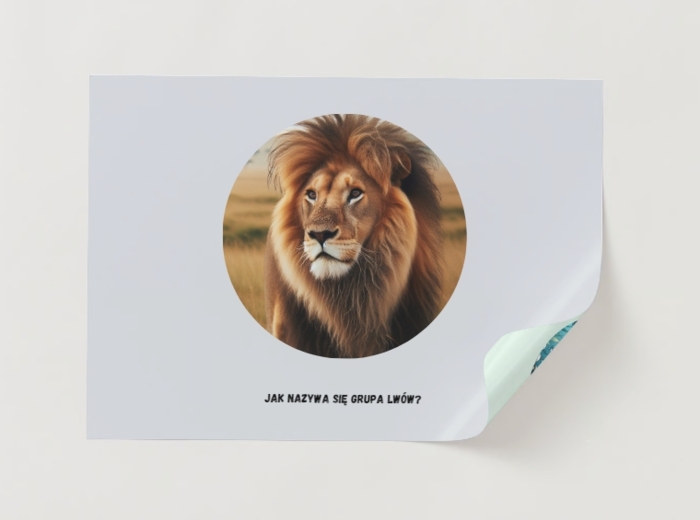 Gra edukacyjna - dopasuj elementy. Zwierzęta i ich środowisko