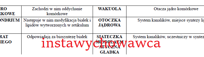 Organella komórkowe-domino