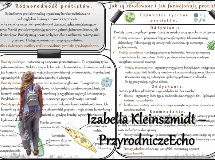 Sketchnotka/notatka/streszczenie/wklejka/ściąga dla ucznia i nauczyciela. Temat „Jak są zbudowane i jak funkcjonują protisty?” w pdf. Biologia 5 dział „Klasyfikacja i systematyka. Wirusy. Bakterie. Prostisty. Grzyby.”. Wykonana na podstawie podręcznika z